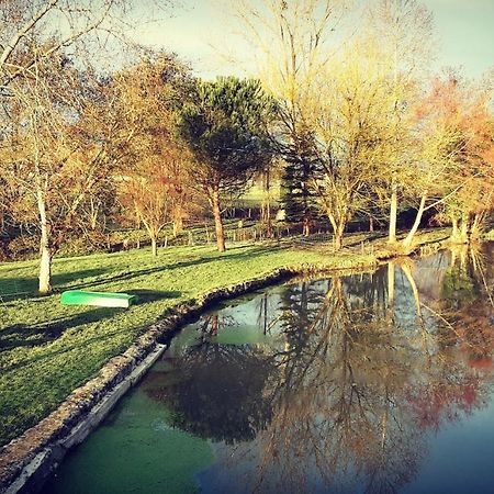 Gite Moulin De Lausseignan Barbaste المظهر الخارجي الصورة