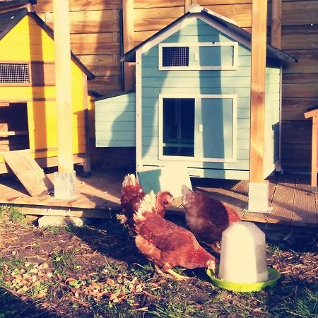 Gite Moulin De Lausseignan Barbaste المظهر الخارجي الصورة