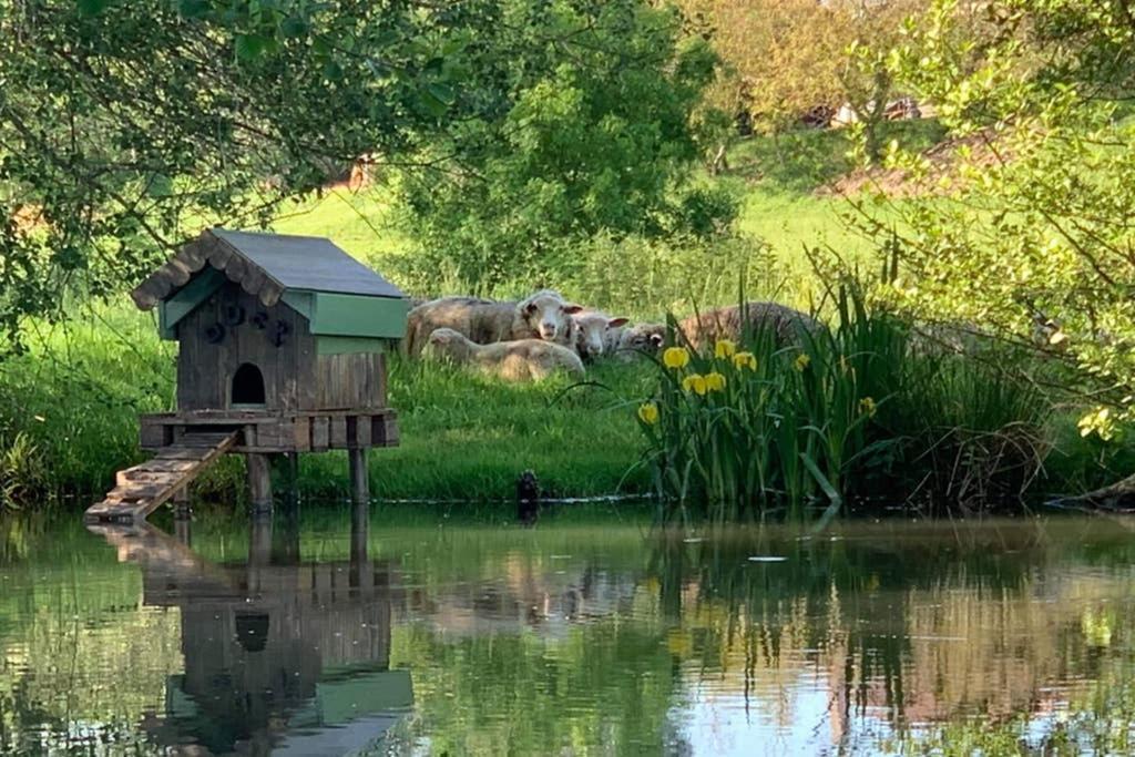 Gite Moulin De Lausseignan Barbaste المظهر الخارجي الصورة