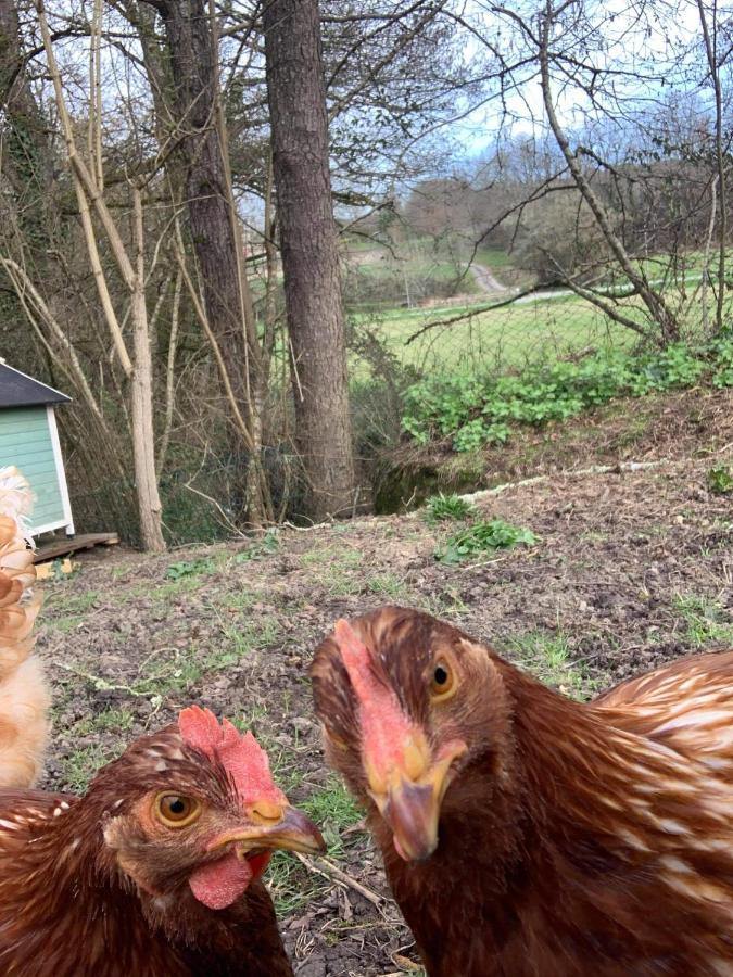 Gite Moulin De Lausseignan Barbaste المظهر الخارجي الصورة